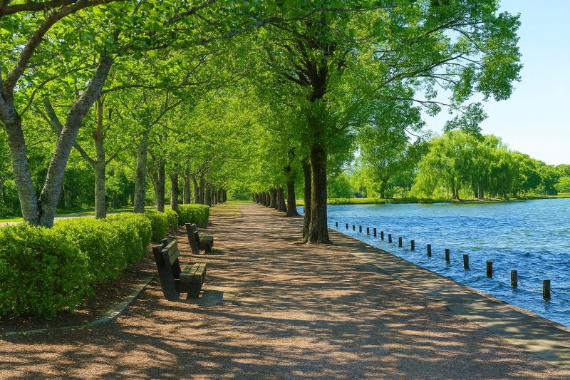 Best Bathroom Remodeling pros in High Ridge, MO